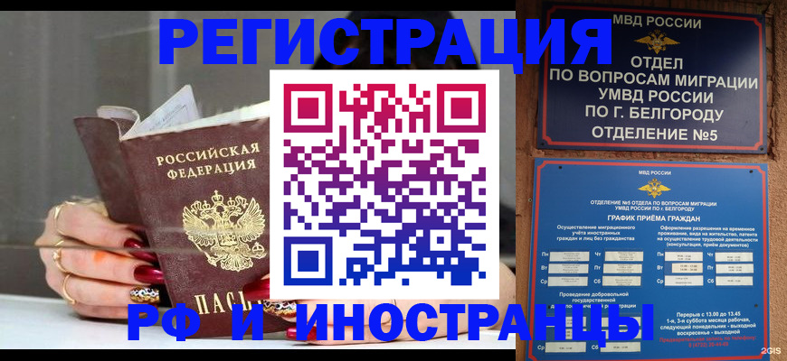 прописка в Судогде